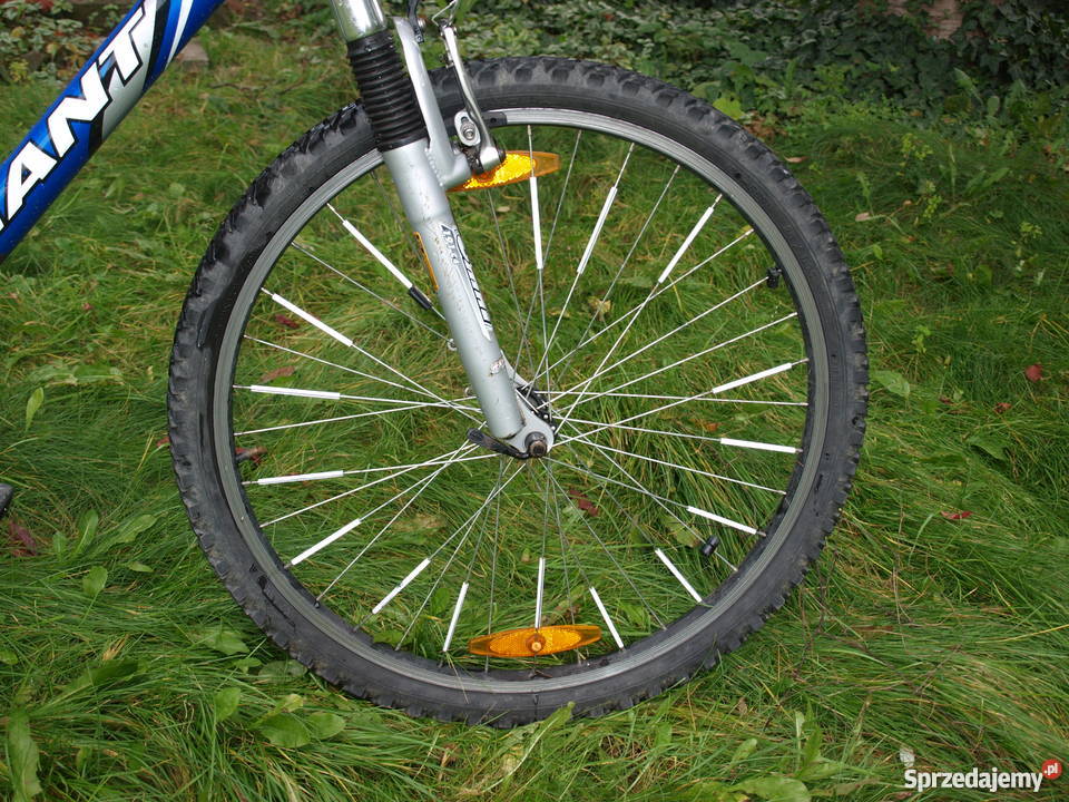 Giant Rock SE Chorzów