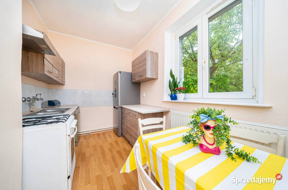 Poznań Jeżyce Źródlana mieszkanie z dużym Piętro 1