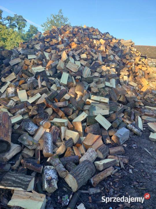 Drewno Buk brzoza mix sosna zachodniopomorskie Gryfino