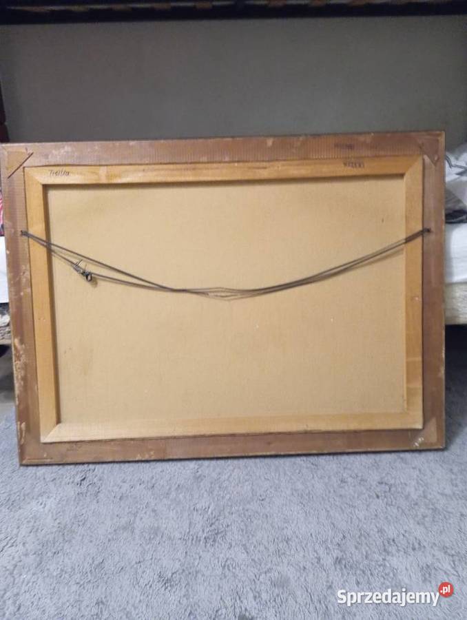 Obraz podkarpackie Harasiuki sprzedam