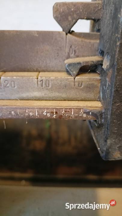 Waga inwentarzowa 1000 kujawsko-pomorskie Wasielewko