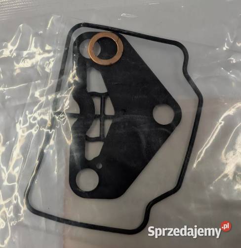 Zestaw uszczelnień 16010Z0AL32 Kamionna