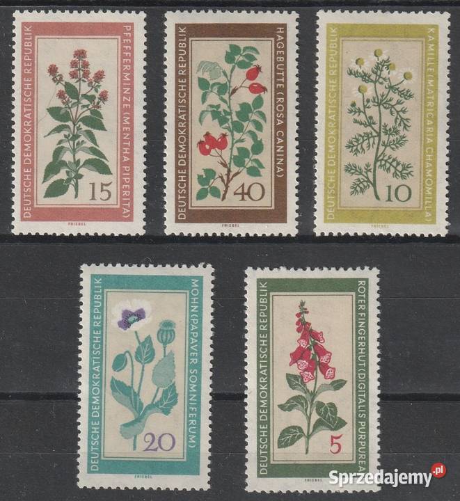 NIEMCY DDR NRD ROŚLINY CZYSTE Filatelistyka Łódź
