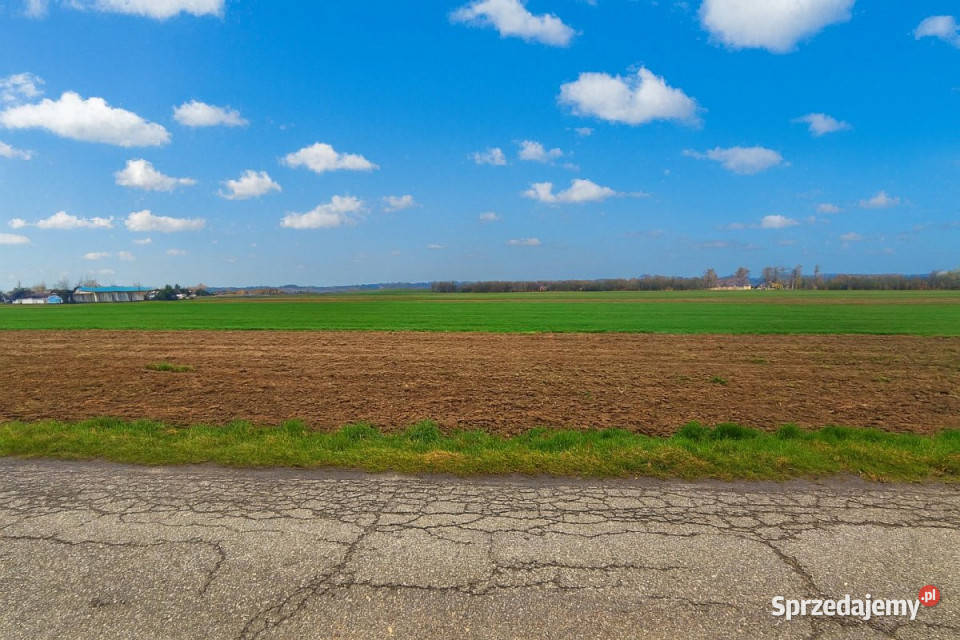 Grunt sprzedam 6317m2 Siedliska sprzedam