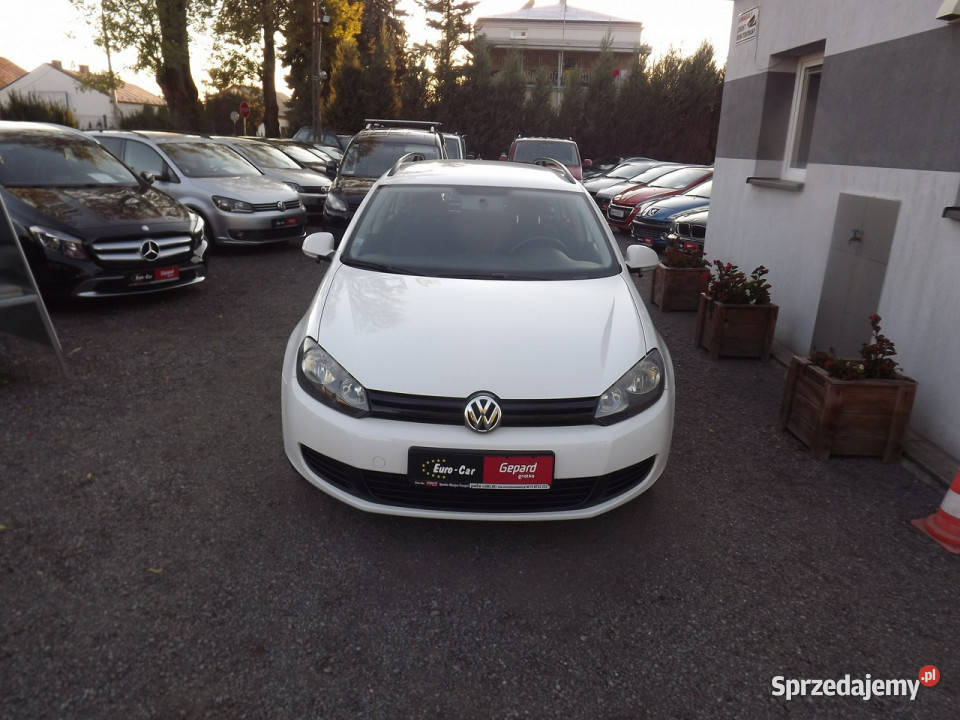 Volkswagen Golf Możliwość zamianySerwisowany do Janów Lubelski