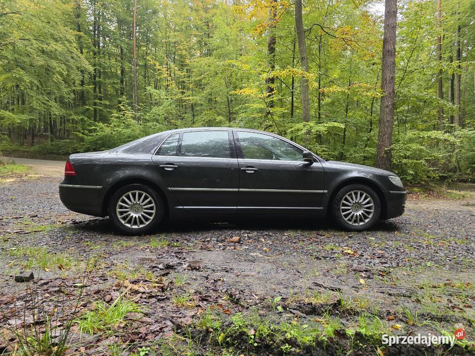 Vw Phaeton Leśniewo