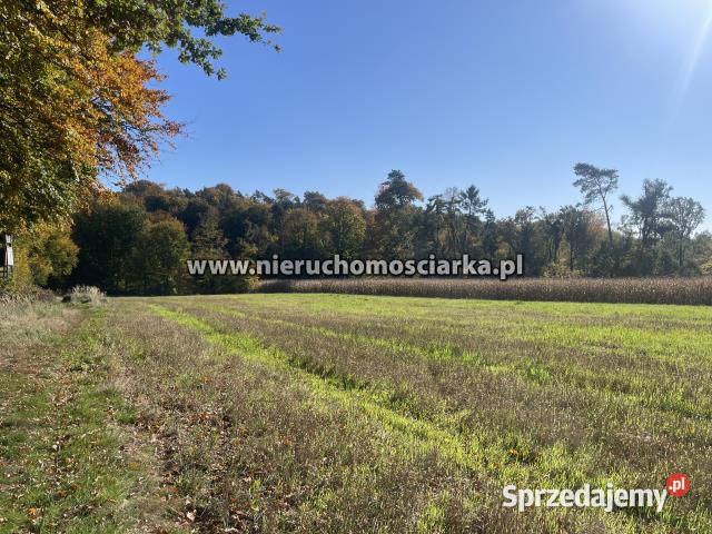 Grunt 15327m2 Syrynia 40m sprzedam