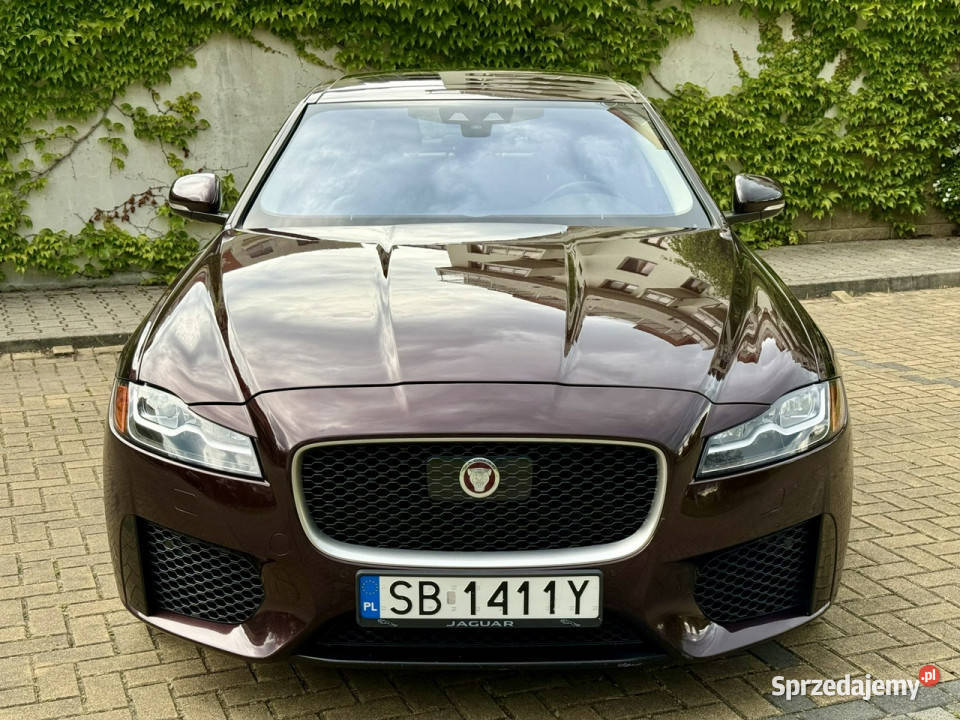 Jaguar XF AWD Rdynamic X260 2015 Tarnowskie Góry sprzedam