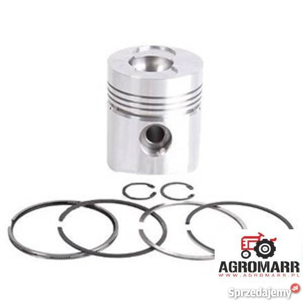 TŁOK STD Z PIERŚCIENIAMI Działyń