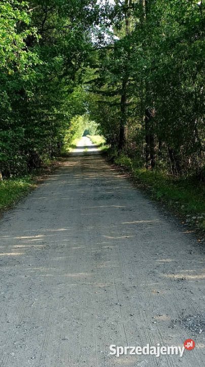 Działki budowlane Czubajowizna k Wołomina