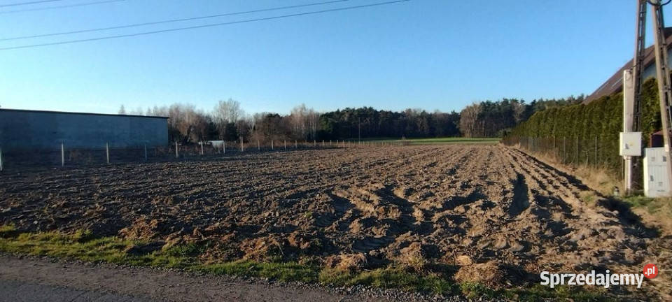 Sprzedam działkę budowlana Sprzedaż łódzkie Trzcianna