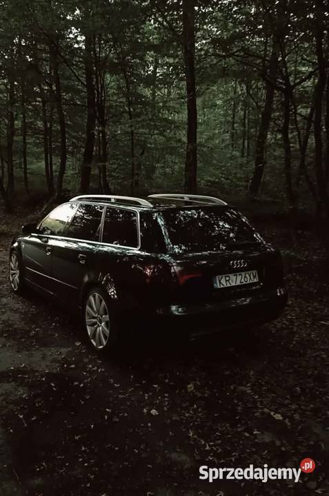 Audi a4 b7 Brzozów