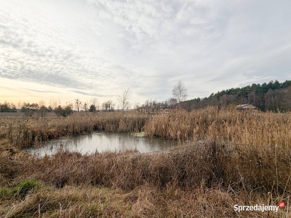 Działka rolna 084 ha Turka gmina Dorohusk