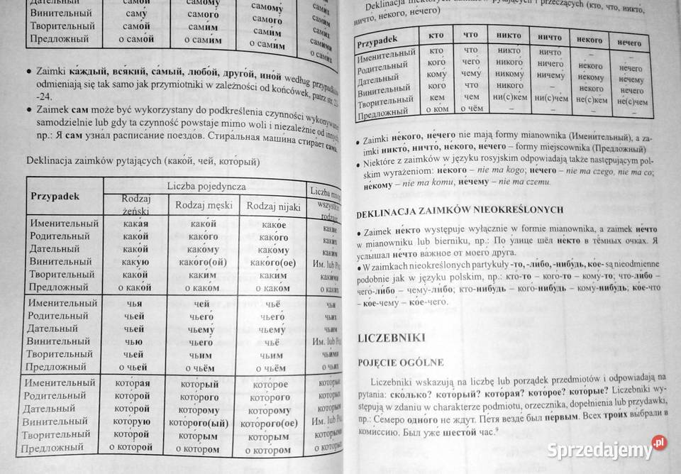 Gramatyka języka rosyjskiego Julia Piskorska Chełm