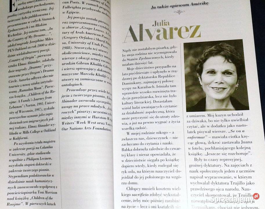 Pisarze o Ameryce 15 głosów ze słowem wstępnym Chełm