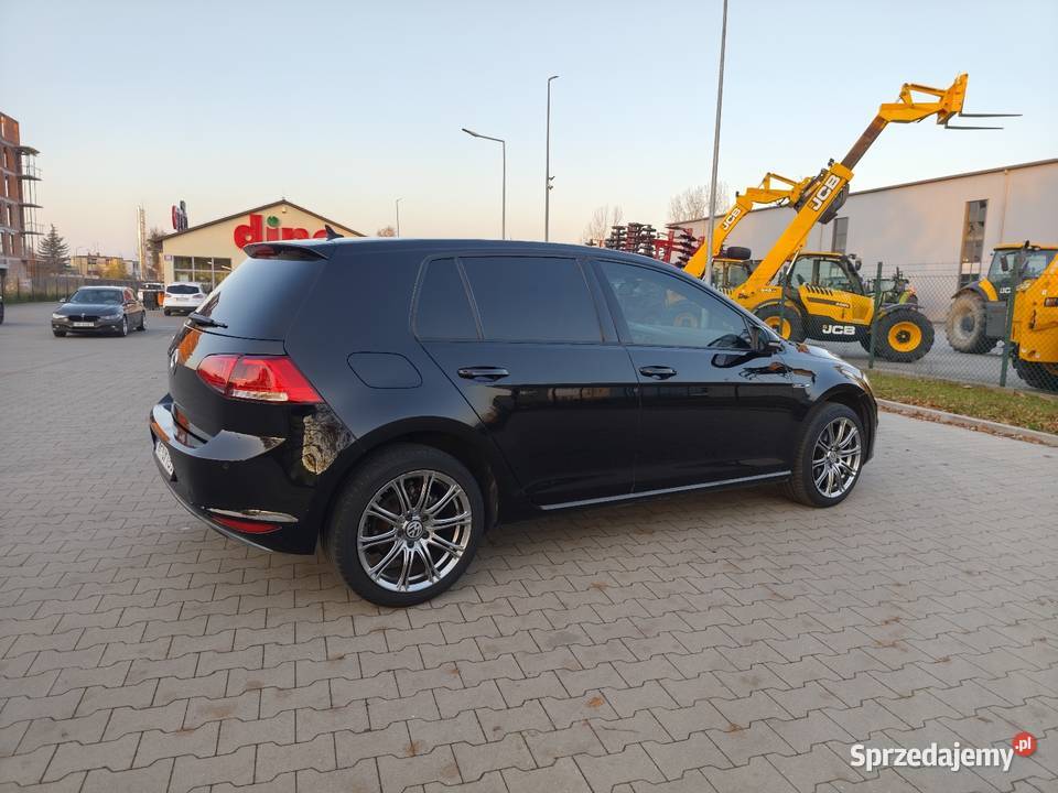 Vw Golf 7 12 TSI 105 koni 2015R 146 Lounge nawigacja wielkopolskie Września