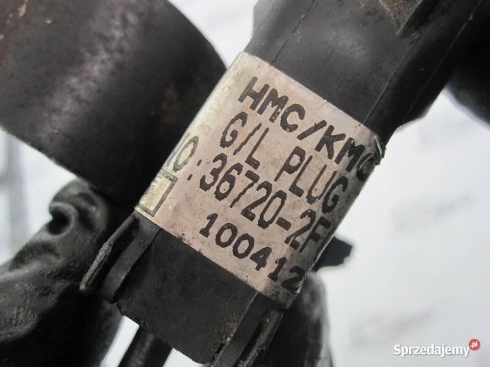 KIA CARNIVAL 22 CRDI D4HB 195 11r listwa świec świętokrzyskie sprzedam