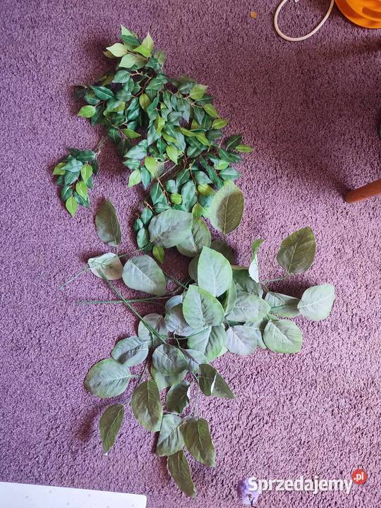 Terrarium kameleona z wyposażeniem Lubin