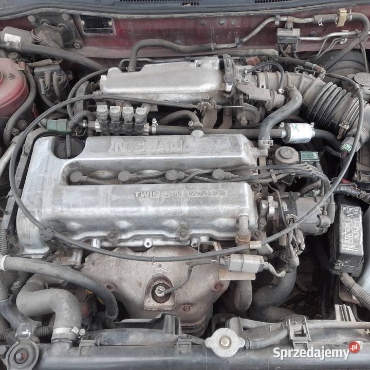Nissan Primera p11 00r benzyna całość części lubelskie Biała Podlaska