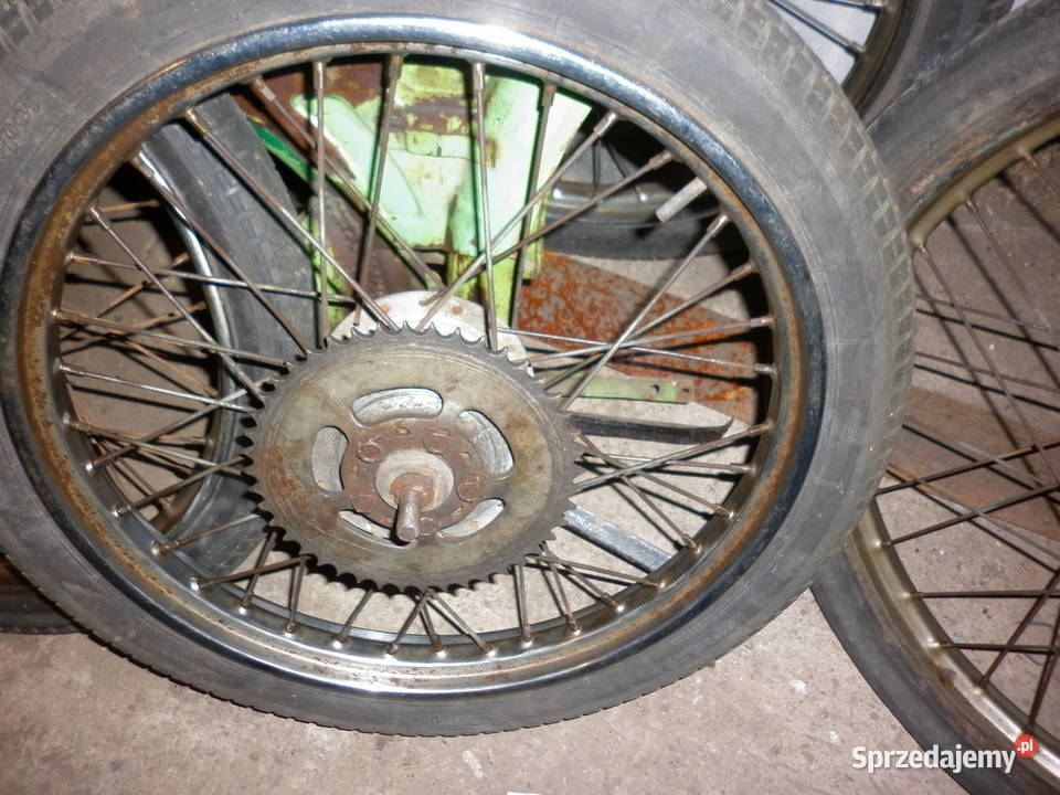 komar koło 17 Pogorzela sprzedam