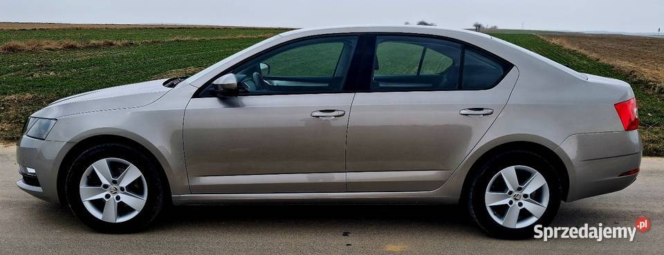 100BezwypadkowaSuper StanPiękny kolor Octavia Przeginia