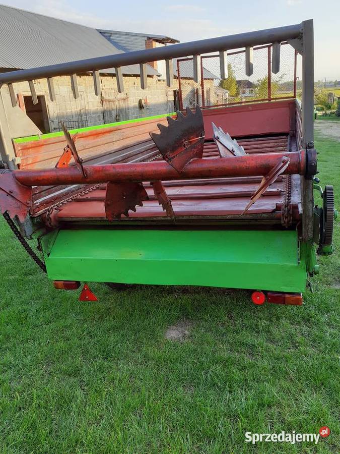 Rozrzutnik Czarna Białostocka Górka