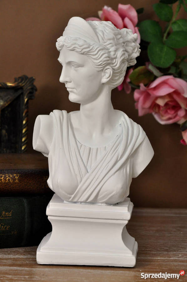 Gips Cement różne rodzaje