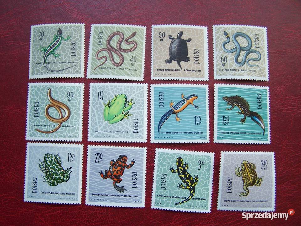 Polska 1963 MNH Mi 13931404 Fauna Gady śląskie Tychy sprzedam