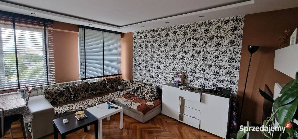 syndyk sprzeda lokal mieszkalny Łęczyca sprzedam