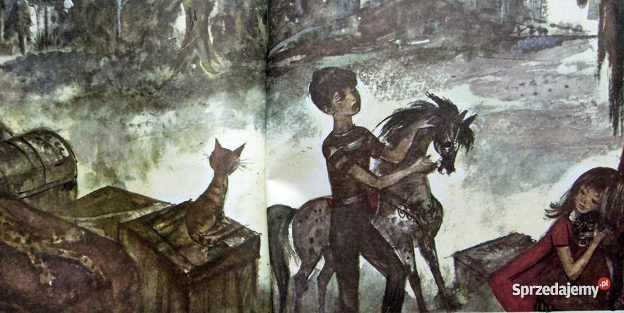 Dom pod kasztanami Helena Bechlerowa Gniezno sprzedam