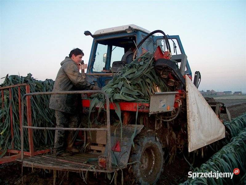 Kombajn do zbioru pora standardowy produkcja lubelskie