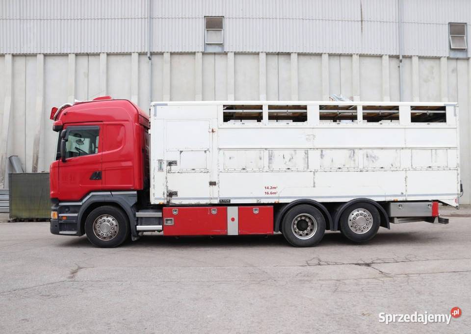 Do przewozu zwierzat Scania Warszawa