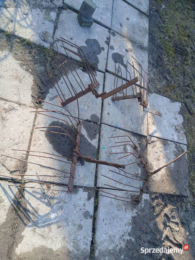 Grabki obsypnika nieuszkodzony małopolskie Czechówka