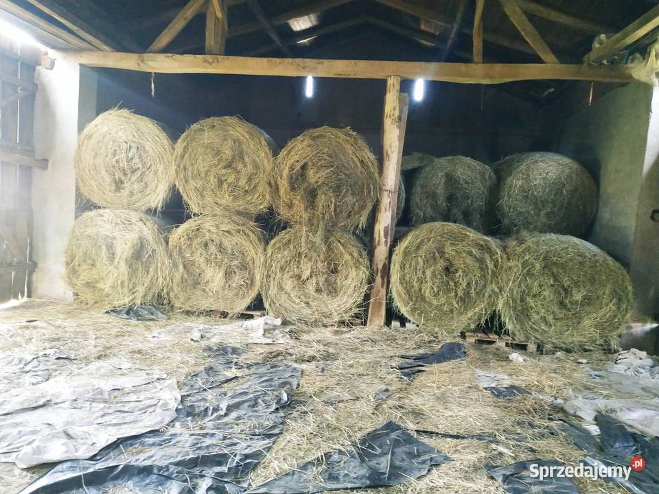 OKAZJA Ostatnie Bele Siana w Promocyjnej Balot Trawy, słoma Ruszków Pierwszy