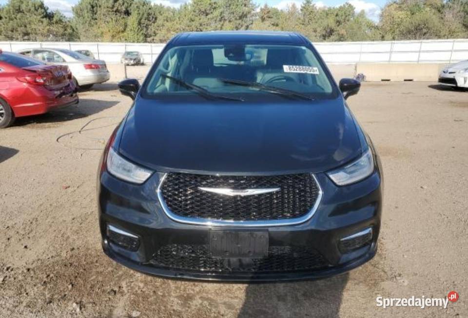 Pacifika hybryda sprzedam łódzkie Poddębice sprzedam