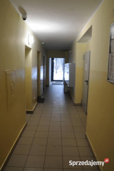 Mieszkanie w śródmieściu parku Warszawa