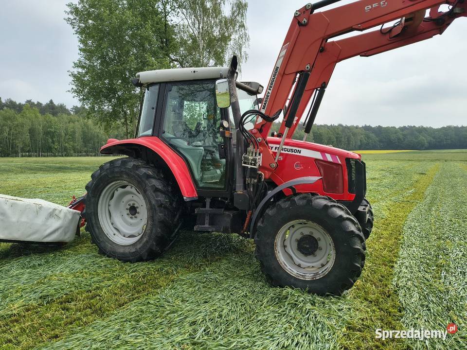 Massey Ferguson 6445 Dyna 6 Massey Ferguson Radzyń Podlaski