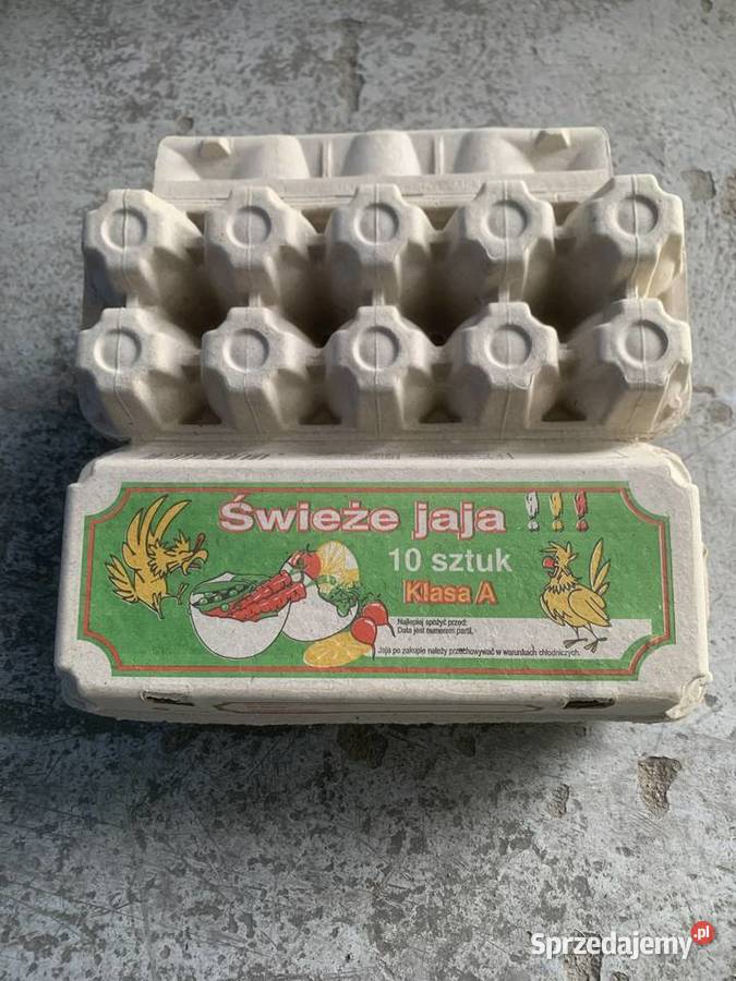 Opakowania wytlaczanki na jajka jaja