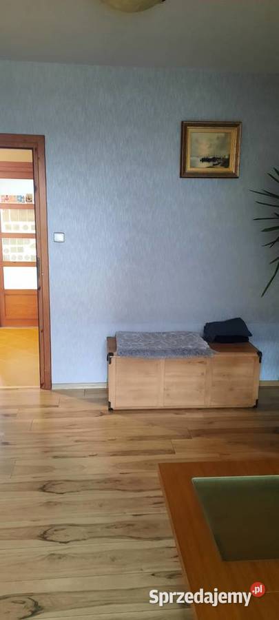 Syndyk sprzeda lokal mieszkalny w Turce Liczba pokoi 2 Turka
