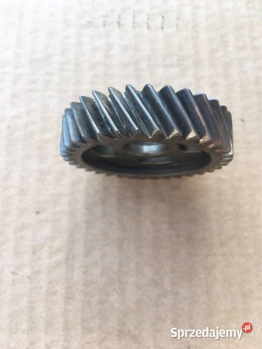 Koło zębate pompy oleju audi a4 b7 20tdi Chojnice