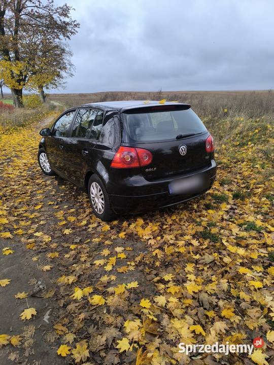 Sprzedam Golf 19 TDI 90 koni Rok produkcji 2005 Golf wielkopolskie Trzcianka
