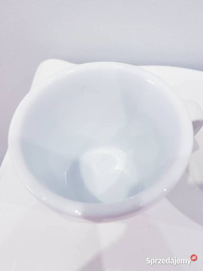 Zestaw porcelanowych filiżanek w gerbery Dąbrowa Górnicza sprzedam