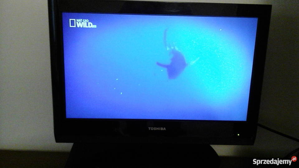 Telewizor Toshiba 19 Konstantynów Łódzki