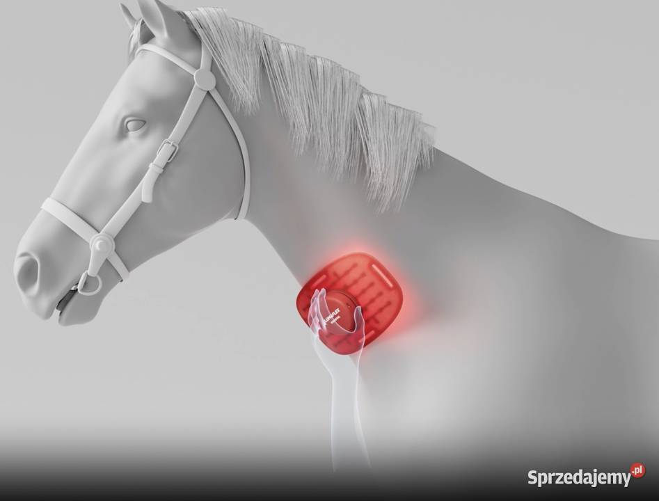 Lumaflex Essential DUO Horse Human Zestaw 3 Michałów sprzedam