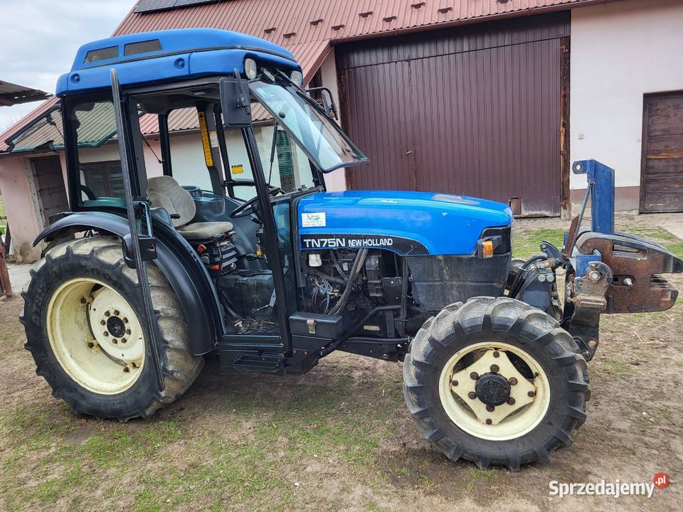 Holland sadownik Dąbrowica