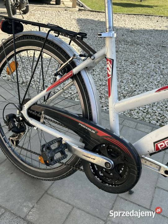 Rower damski Pegasus