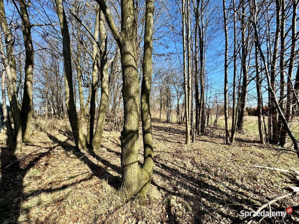 Działka budowlanousługowa Radlin Biertułtowy