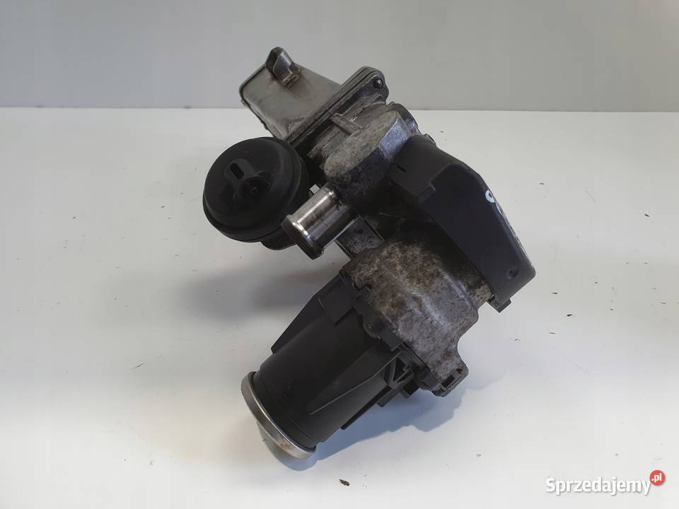 Audi A3 II 8P 16 TDI CHŁODNICA SPALIN egr Chełm