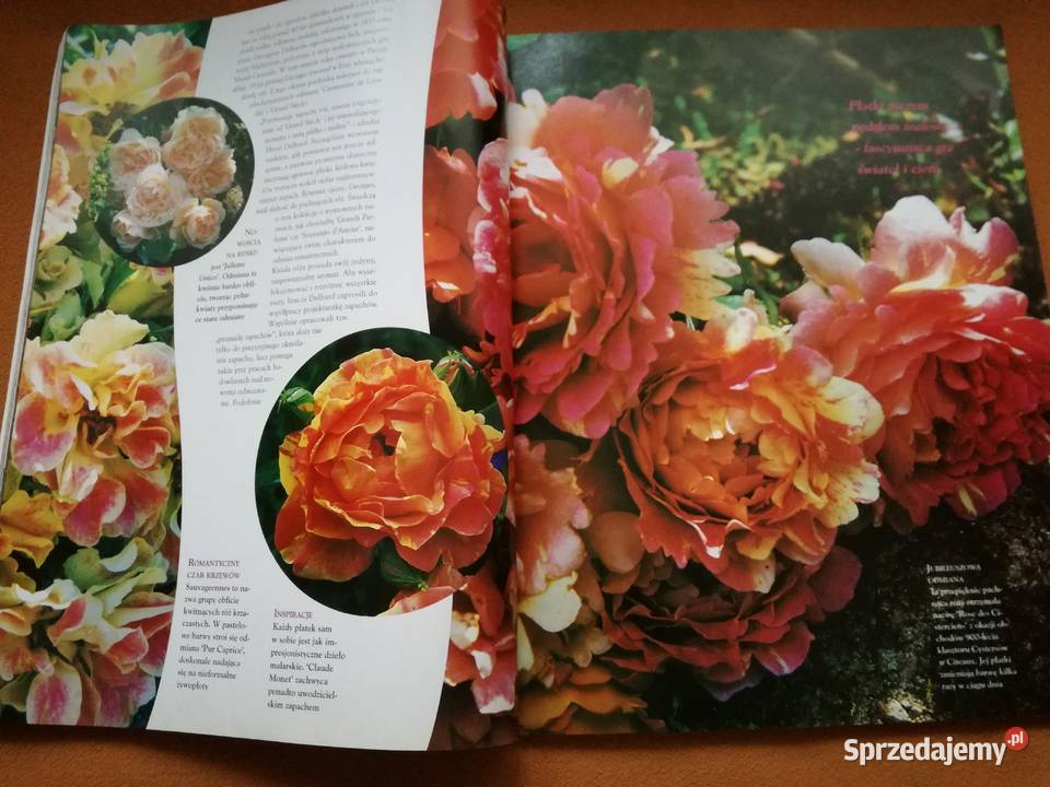 Mój piękny ogród Róże z tradycjami Czasopismo Łódź sprzedam