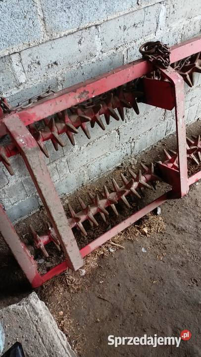 Kolczatka wał 180m kujawsko-pomorskie Wasielewko